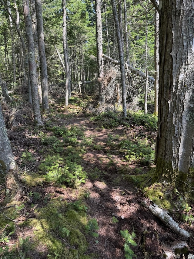 M7L5, 6 Pineo Point Rd, Harrington, ME 04643 - photo 27