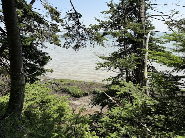 M7L5, 6 Pineo Point Rd, Harrington, ME 04643 - photo 38