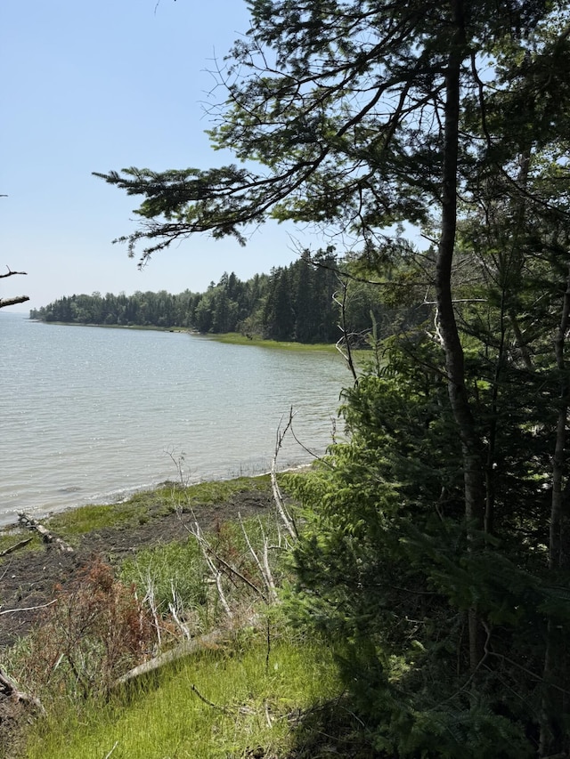 M7L5, 6 Pineo Point Rd, Harrington, ME 04643 - photo 39