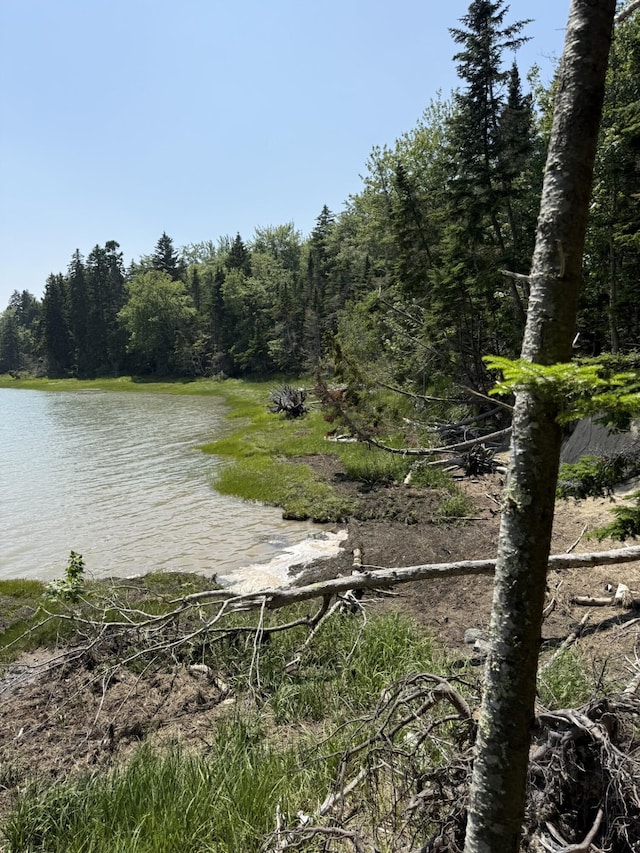 M7L5, 6 Pineo Point Rd, Harrington, ME 04643 - photo 40