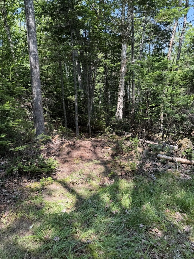 M7L5, 6 Pineo Point Rd, Harrington, ME 04643 - photo 26