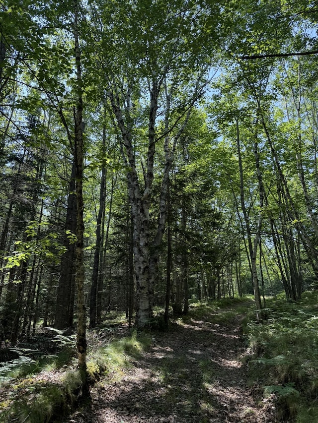 M7L5, 6 Pineo Point Rd, Harrington, ME 04643 - photo 31