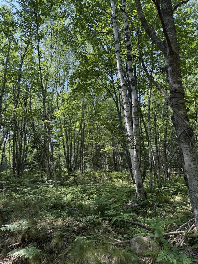 M7L5, 6 Pineo Point Rd, Harrington, ME 04643 - photo 30