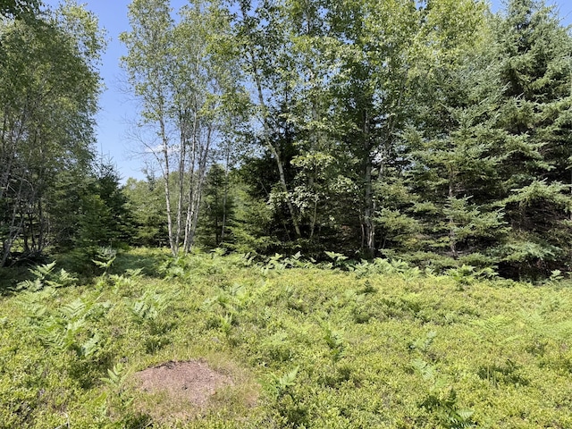 M7L5, 6 Pineo Point Rd, Harrington, ME 04643 - photo 33