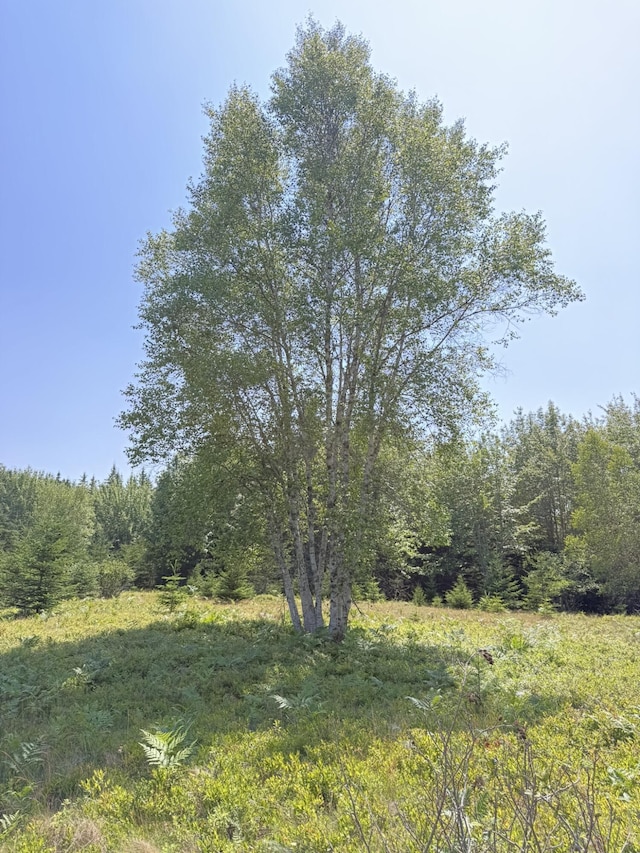M7L5, 6 Pineo Point Rd, Harrington, ME 04643 - photo 32