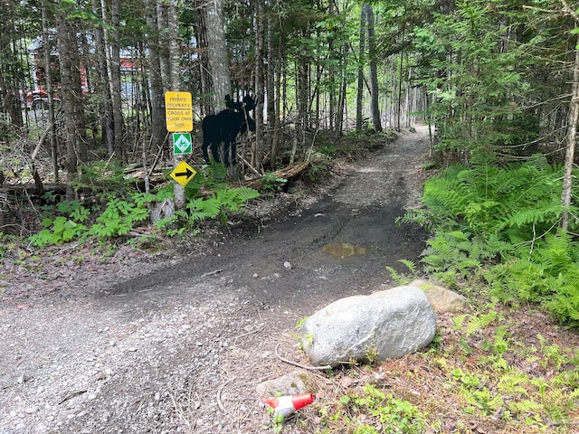 2 Loon Ln, Abbot, ME 04406 - photo 41