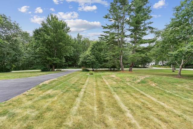63 Ledgewood Dr, Falmouth, ME 04105 - photo 12