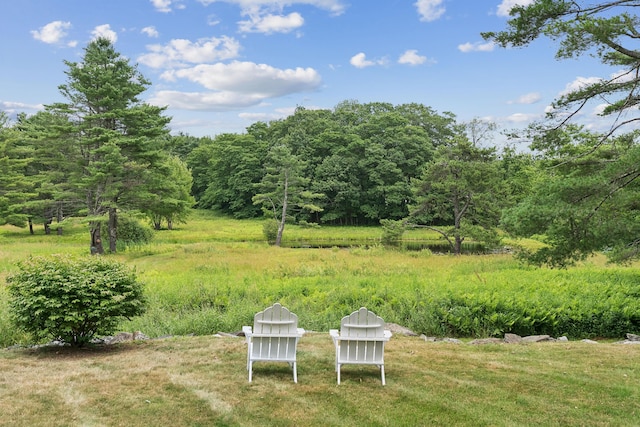 63 Ledgewood Dr, Falmouth, ME 04105 - photo 68
