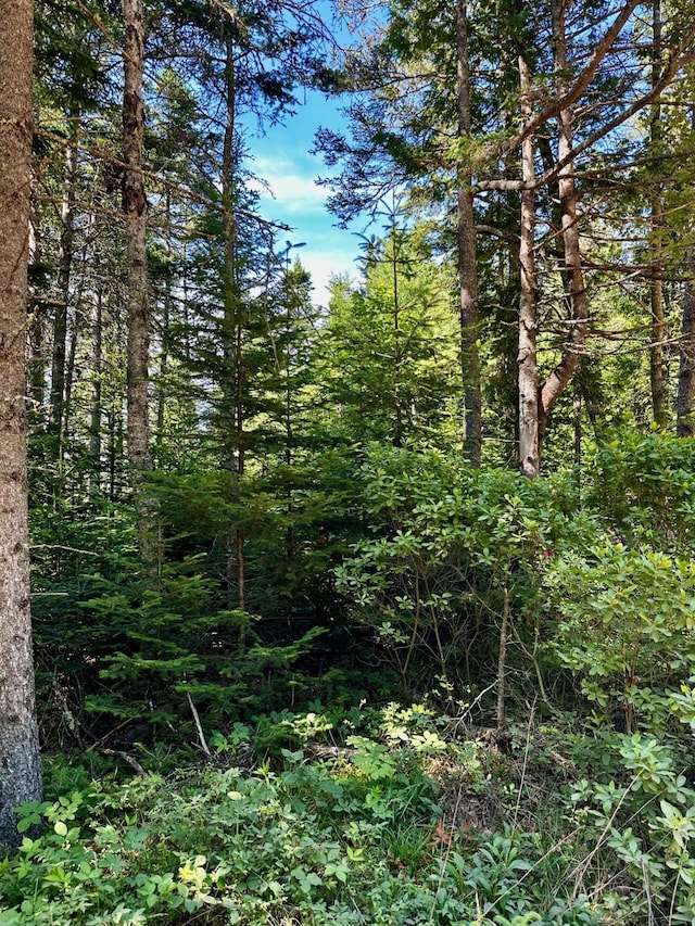 0 Flye Pt Lot 2, Brooklin, ME 04614 - photo 1