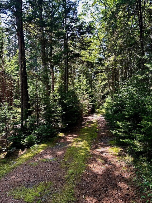 0 Flye Pt Lot 2, Brooklin, ME 04614 - photo 4
