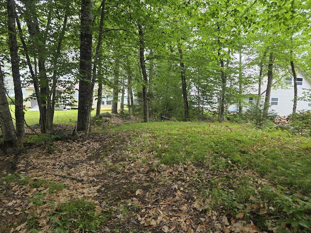 20 Hemlock Dr, Lake View Plt, ME 04414 - photo 44