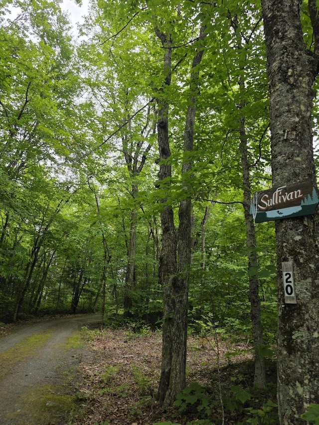 20 Hemlock Dr, Lake View Plt, ME 04414 - photo 45