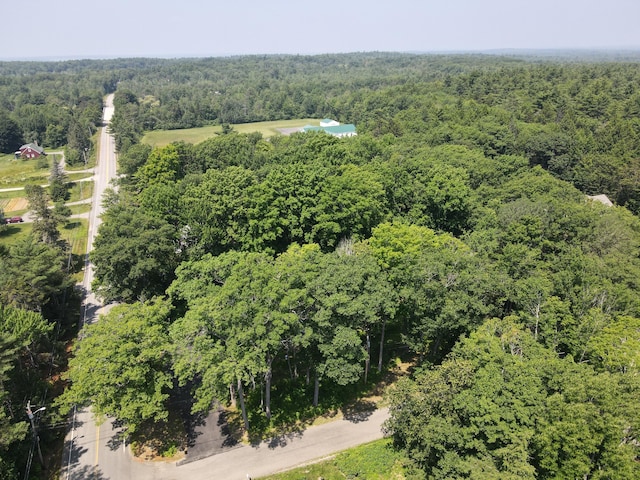 2 Forest Hill Ter, Orono, ME 04473 - photo 47