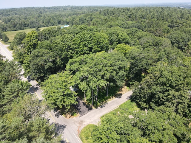 2 Forest Hill Ter, Orono, ME 04473 - photo 49