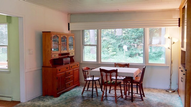 2 Forest Hill Ter, Orono, ME 04473 - photo 14