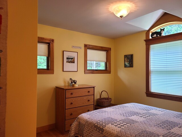 6 Percys Pocket Rd, Northport, ME 04849 - photo 37