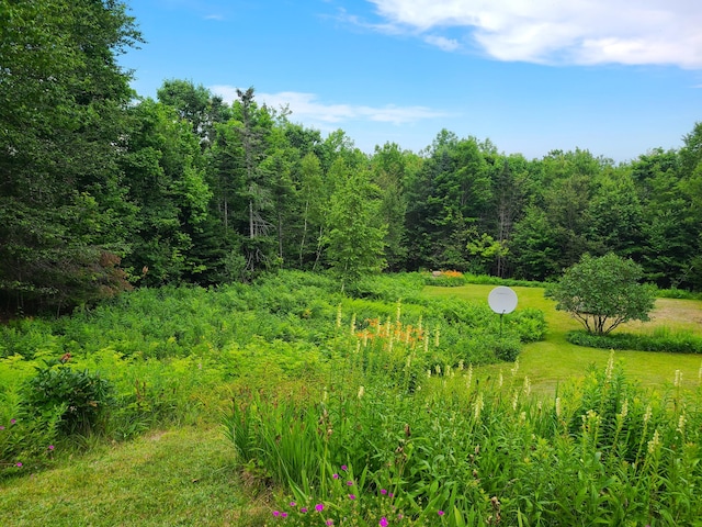 6 Percys Pocket Rd, Northport, ME 04849 - photo 45