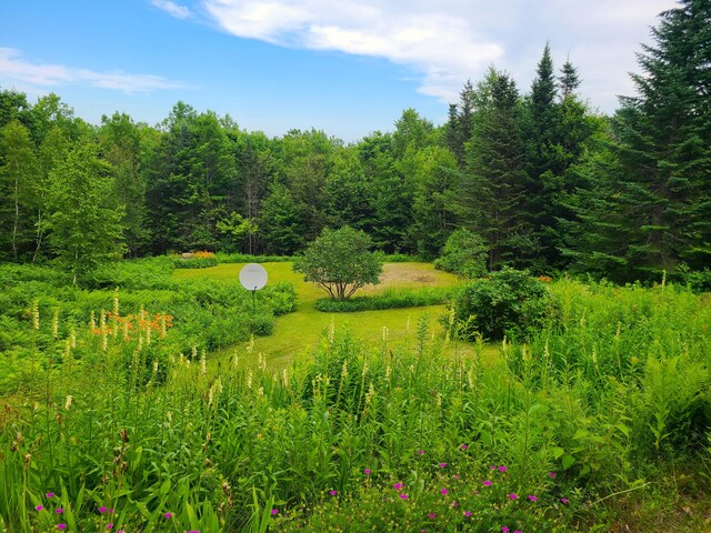 6 Percys Pocket Rd, Northport, ME 04849 - photo 46