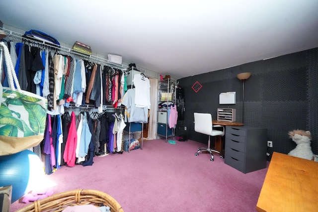 3922 Union St, Levant, ME 04456 - walk in closet with carpet floors
