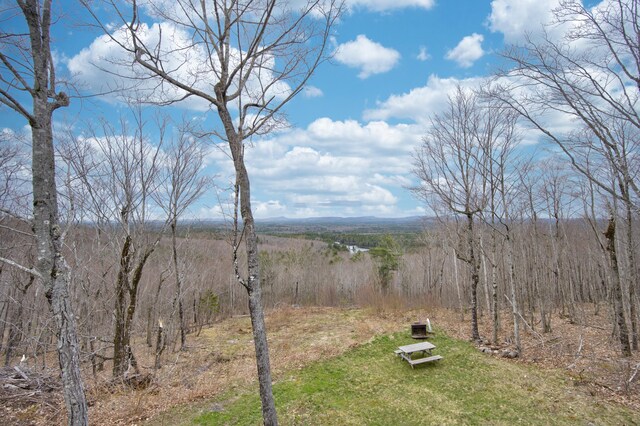 7 Coon Mountain Ln, Liberty, ME 04949 - photo 18