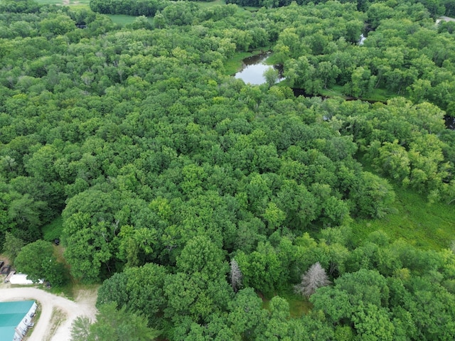 LOT14C Mechanic Falls Rd, Poland, ME 04274 - photo 3