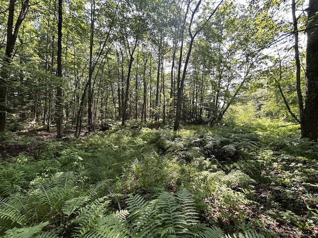 LOT14C Mechanic Falls Rd, Poland, ME 04274 - photo 8