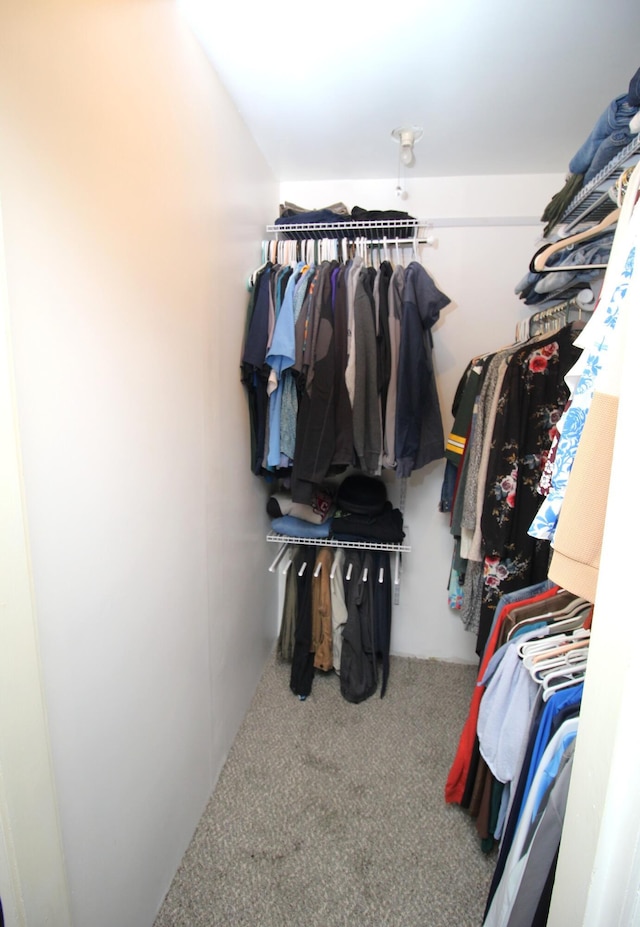 6 Shirley Ave, Lewiston, ME 04240 - walk in closet featuring carpet flooring