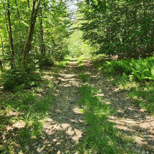 10 Barker Rd, Burlington, ME 04417 - photo 17