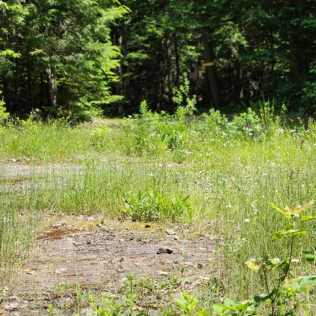10 Barker Rd, Burlington, ME 04417 - photo 21