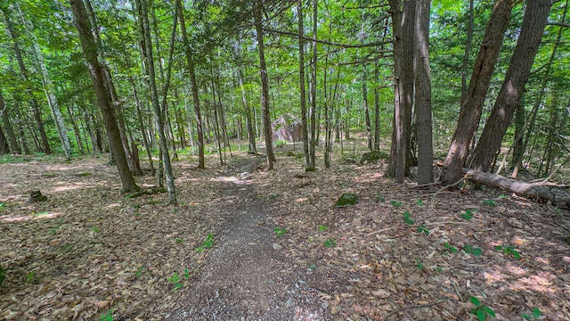 29 Wild Turkey Way, Poland, ME 04274 - photo 11