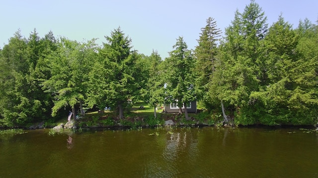 12 Beech Ridge Dr, Abbot, ME 04406 - photo 46