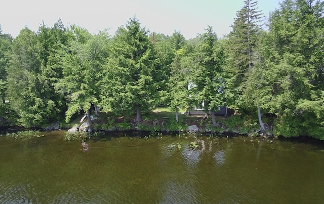 12 Beech Ridge Dr, Abbot, ME 04406 - photo 47