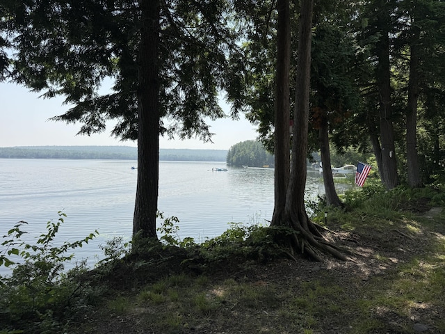 12 Beech Ridge Dr, Abbot, ME 04406 - photo 43