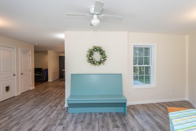 8 Dandelion Dr, North Yarmouth, ME 04097 - photo 6