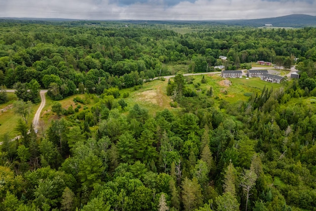 0 Center Dr, Orrington, ME 04474 - photo 10