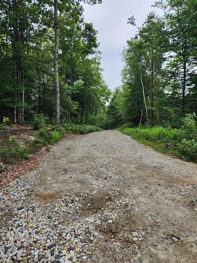 LotC Fern Drive, Buckfield, ME 04220