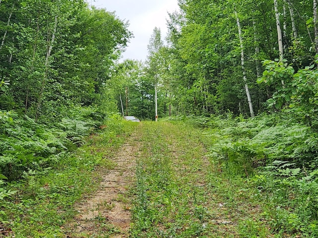 LotC Fern Drive, Buckfield, ME 04220