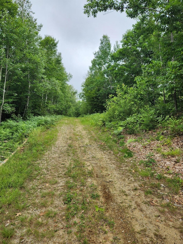 LotC Fern Drive, Buckfield, ME 04220