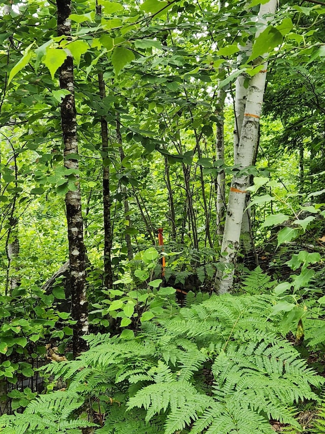 LotC Fern Drive, Buckfield, ME 04220