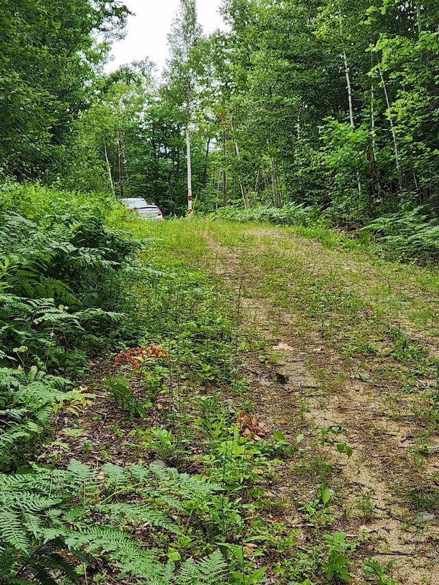 LotC Fern Drive, Buckfield, ME 04220