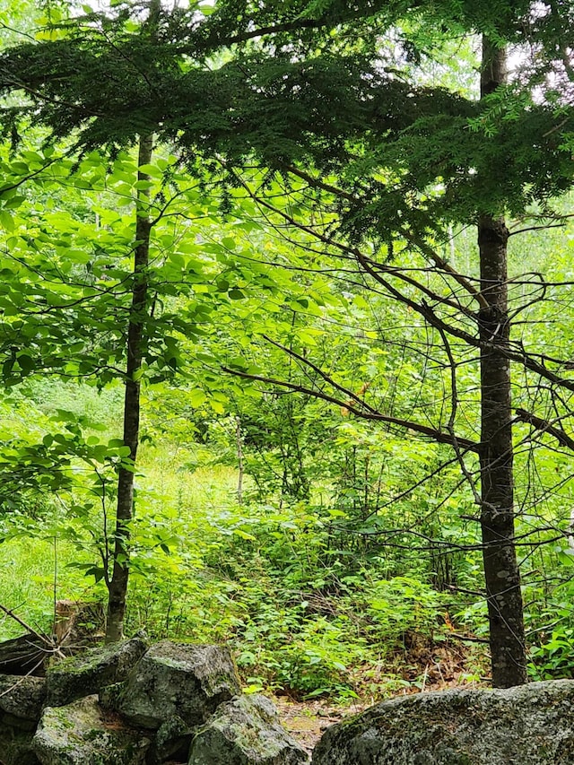 LotC Fern Drive, Buckfield, ME 04220
