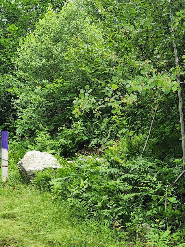 LotC Fern Drive, Buckfield, ME 04220