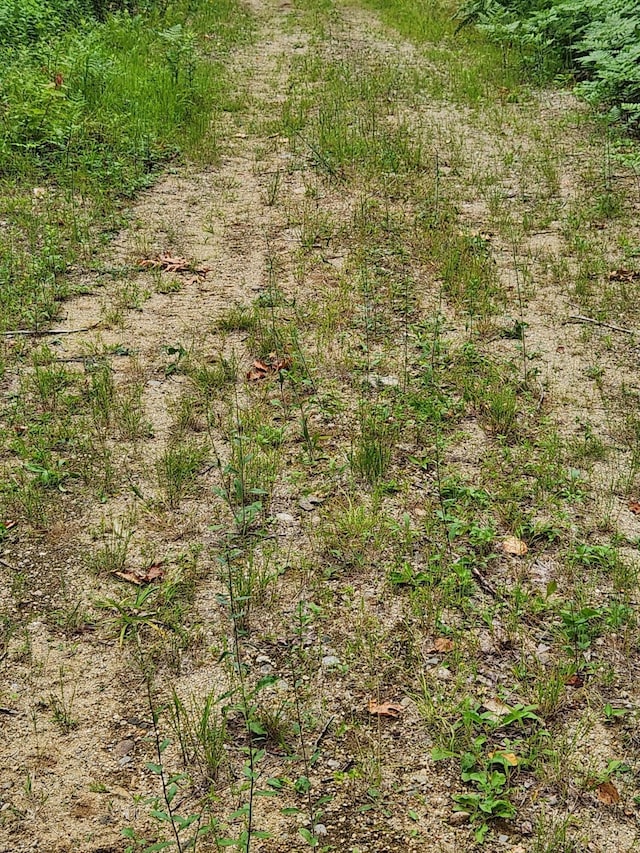 LotC Fern Drive, Buckfield, ME 04220
