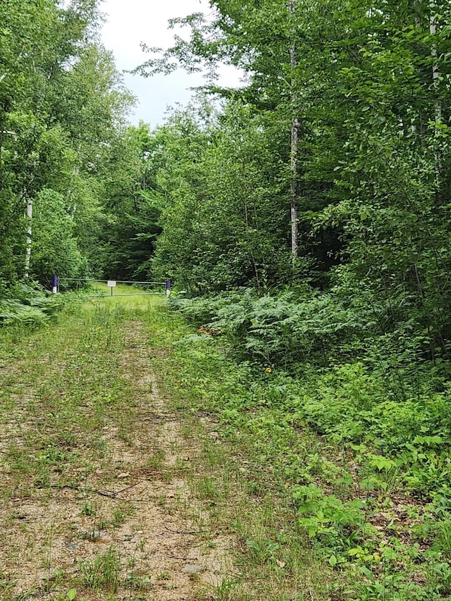 LotC Fern Drive, Buckfield, ME 04220