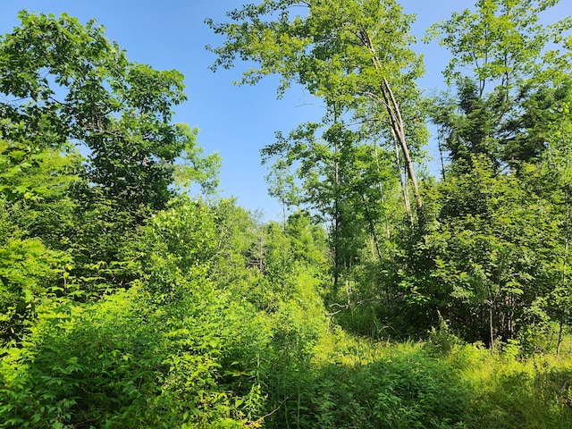 LotC Fern Drive, Buckfield, ME 04220