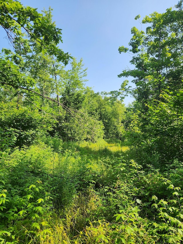 LotC Fern Drive, Buckfield, ME 04220