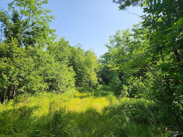LotC Fern Drive, Buckfield, ME 04220