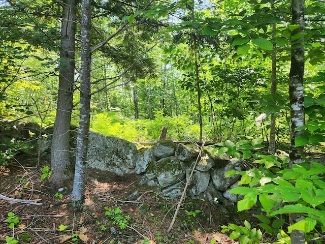 LotC Fern Drive, Buckfield, ME 04220