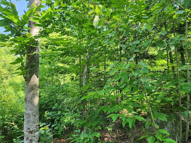LotC Fern Drive, Buckfield, ME 04220