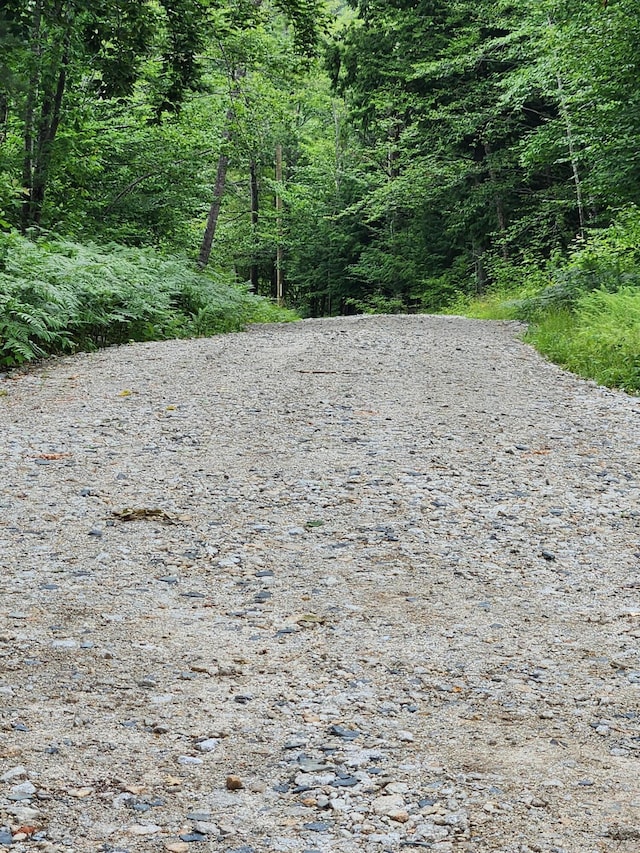 LotC Fern Drive, Buckfield, ME 04220